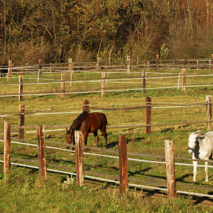 Cordoalha de aço para curral
