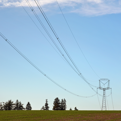 Cordoalhas em linhas de transmissão